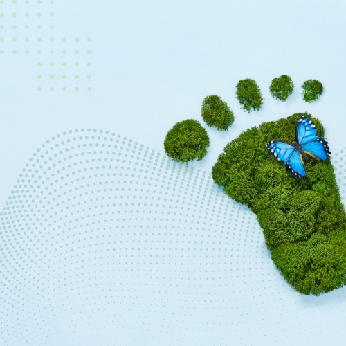 Empresas carbono neutro